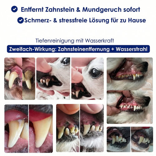 PuraDentis SonicCare Kit – 3-in-1 Zahnpflege